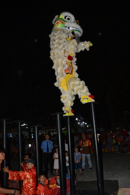 Series of photos on the 3rd day of Tet Holiday