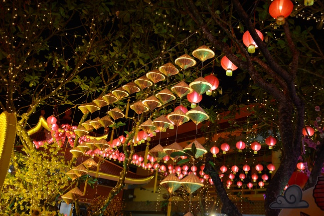 Series of photos on the 3rd day of Tet Holiday