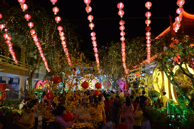 Series of photos on the 3rd day of Tet Holiday