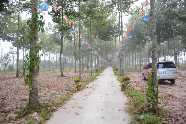 Nearly a thousand Buddhists wishing Senior Ven Thich Chan Tinh a Happy New Year on the lunar Third Day at Huong Phap Pagoda