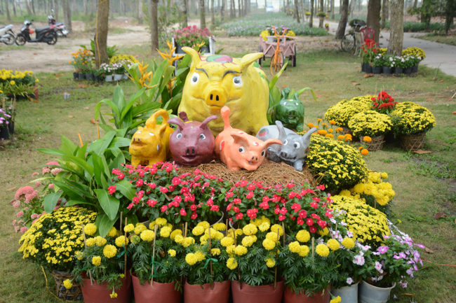 Nearly a thousand Buddhists wishing Senior Ven Thich Chan Tinh a Happy New Year on the lunar Third Day at Huong Phap Pagoda