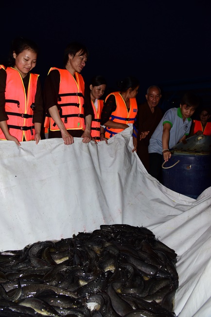 The rite of offering a meal and alms for monks and releasing creatures.