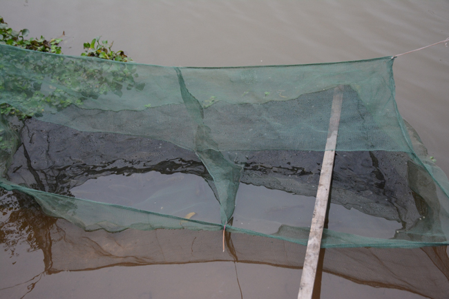 The lantern-flower night commemorating to Bodhisattva Avalokitesvara at Tay Khanh Pagoda.