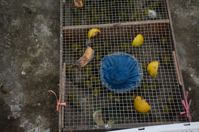 The lantern-flower night commemorating to Bodhisattva Avalokitesvara at Tay Khanh Pagoda.