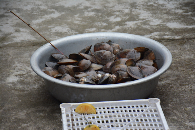 The lantern-flower night commemorating to Bodhisattva Avalokitesvara at Tay Khanh Pagoda.