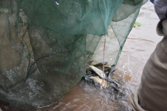 The lantern-flower night commemorating to Bodhisattva Avalokitesvara at Tay Khanh Pagoda.