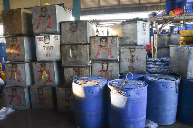 Offering alms at Quoc Thoi pagoda and releasing creatues in Ben Tre
