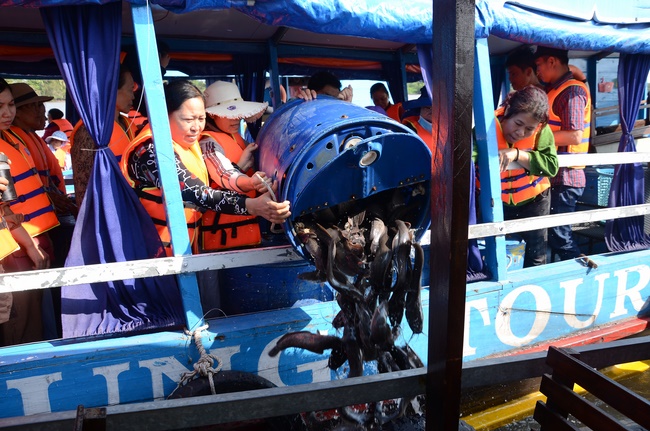 Offering alms at Quoc Thoi pagoda and releasing creatues in Ben Tre