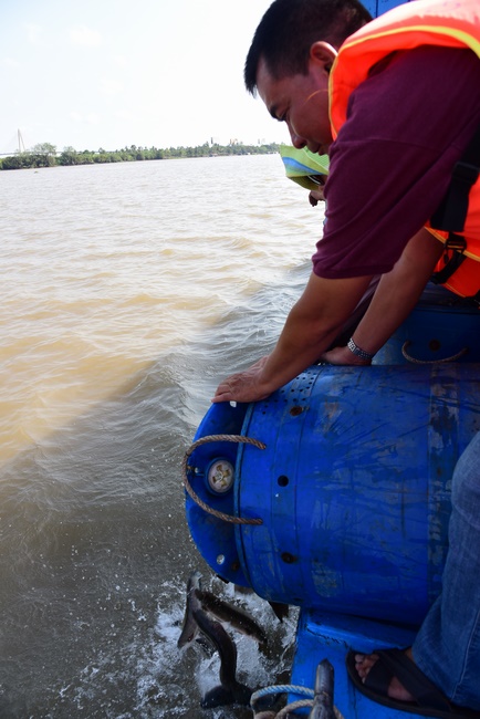 Offering alms at Quoc Thoi pagoda and releasing creatues in Ben Tre