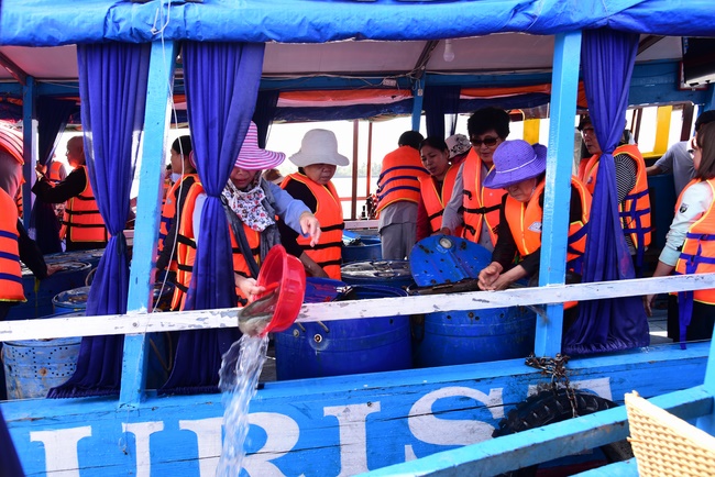 Offering alms at Quoc Thoi pagoda and releasing creatues in Ben Tre