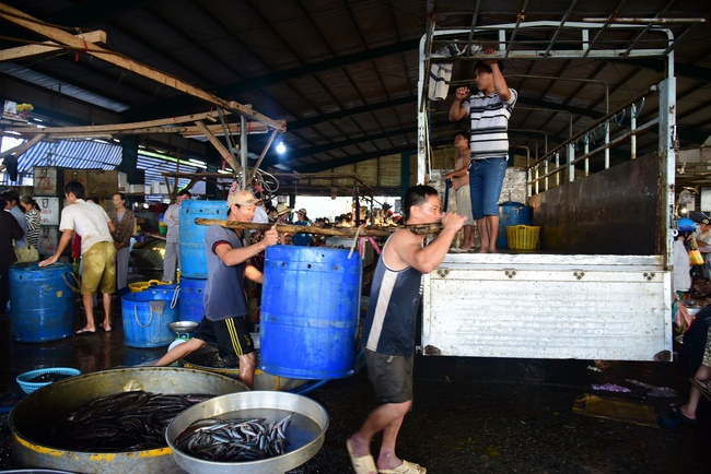 Offering alms at Quoc Thoi pagoda and releasing creatues in Ben Tre