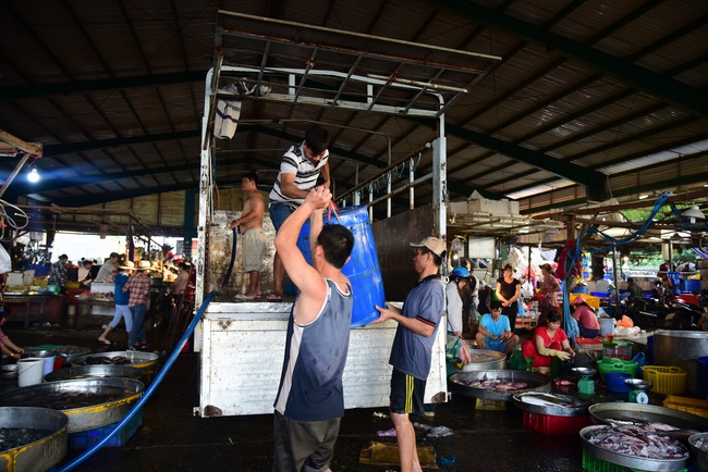 Offering alms at Quoc Thoi pagoda and releasing creatues in Ben Tre