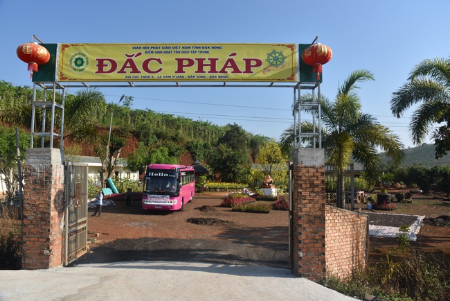 Offering nine branches of Hoang Phap Pagoda