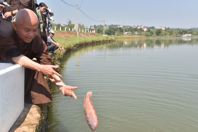 Offering nine branches of Hoang Phap Pagoda