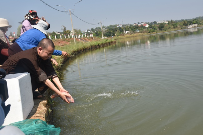 Offering nine branches of Hoang Phap Pagoda