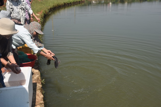 Offering nine branches of Hoang Phap Pagoda