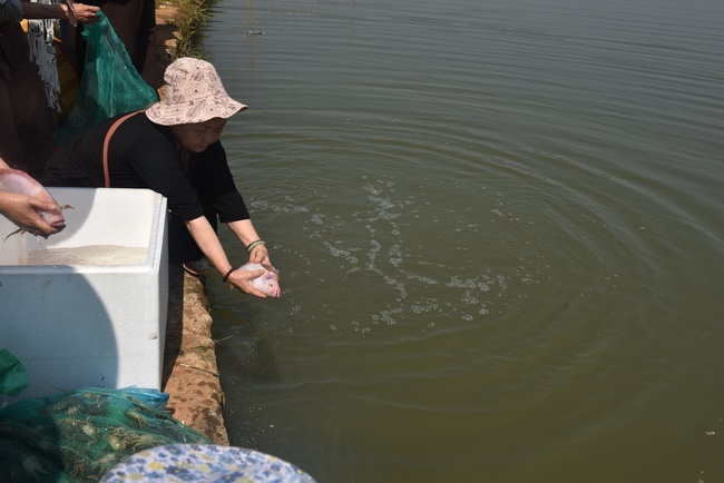 Offering nine branches of Hoang Phap Pagoda