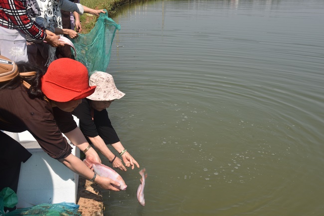 Offering nine branches of Hoang Phap Pagoda