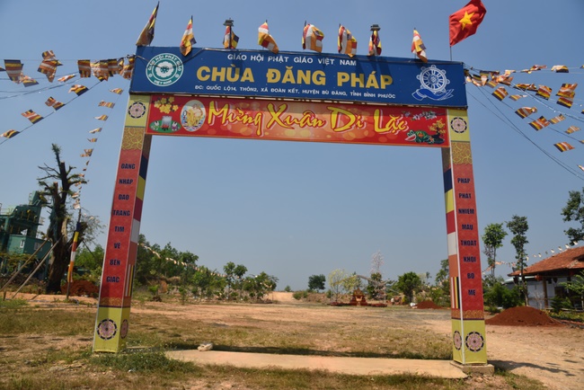 Offering nine branches of Hoang Phap Pagoda