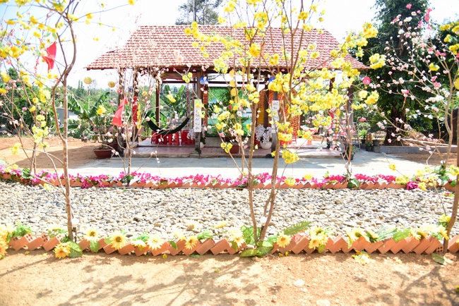 Offering nine branches of Hoang Phap Pagoda