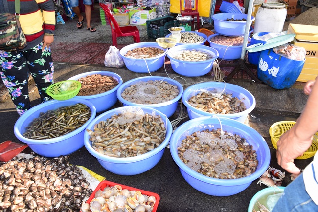 Offering nine branches of Hoang Phap Pagoda