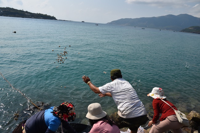 Offering nine branches of Hoang Phap Pagoda