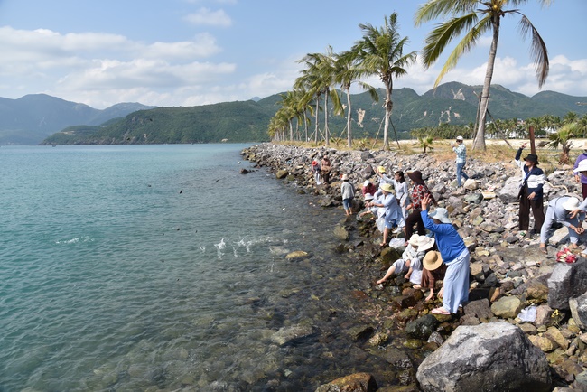 Offering nine branches of Hoang Phap Pagoda