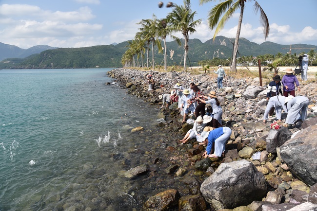 Offering nine branches of Hoang Phap Pagoda