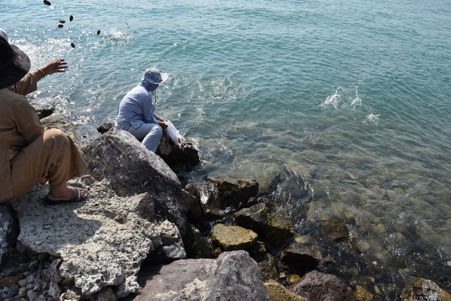 Offering nine branches of Hoang Phap Pagoda