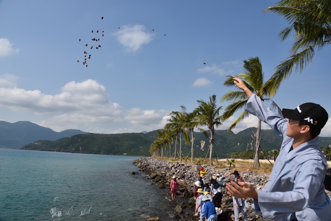 Offering nine branches of Hoang Phap Pagoda