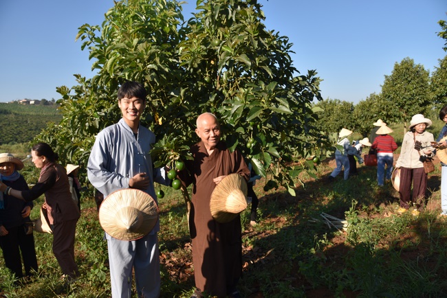 Offering nine branches of Hoang Phap Pagoda