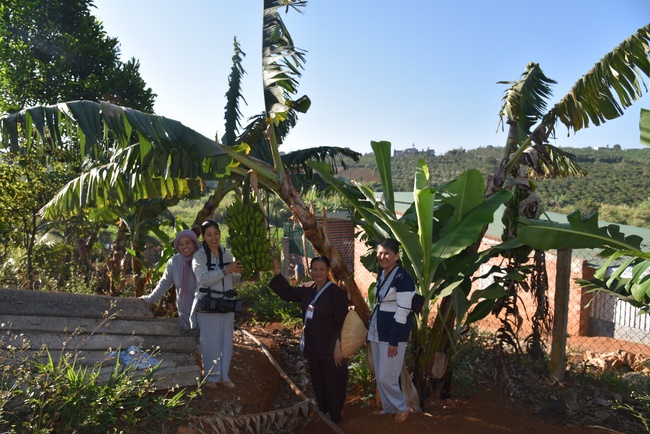 Offering nine branches of Hoang Phap Pagoda