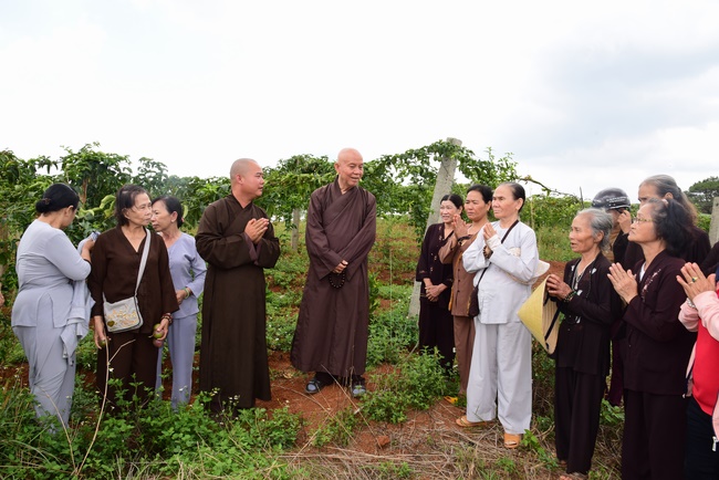 Offering the Buddha statue to Dac Phap Pagoda and releasing creatures.