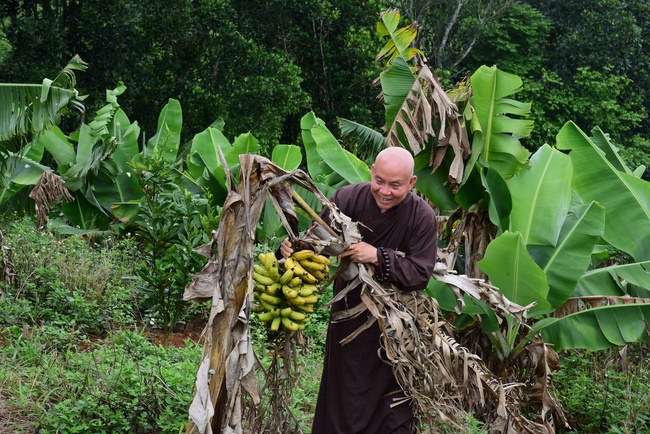 Offering the Buddha statue to Dac Phap Pagoda and releasing creatures.