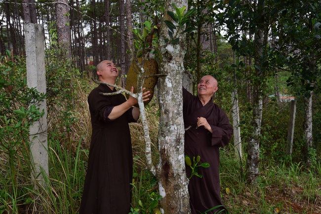 Offering the Buddha statue to Dac Phap Pagoda and releasing creatures.