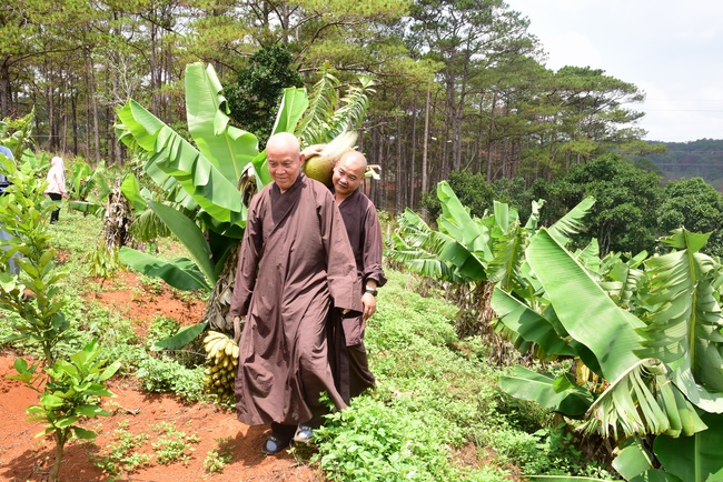 Offering the Buddha statue to Dac Phap Pagoda and releasing creatures.