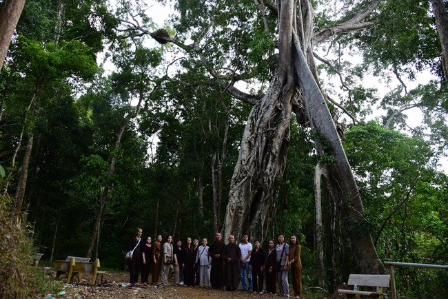 Offering the Buddha statue to Dac Phap Pagoda and releasing creatures.
