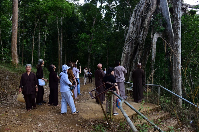 Offering the Buddha statue to Dac Phap Pagoda and releasing creatures.