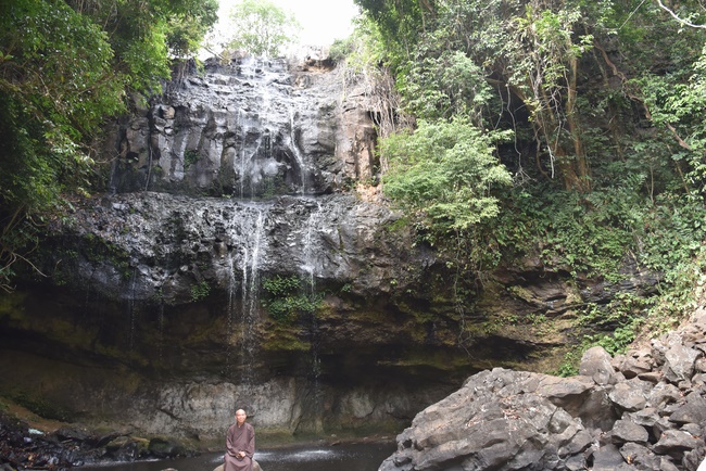 Offering the Buddha statue to Dac Phap Pagoda and releasing creatures.