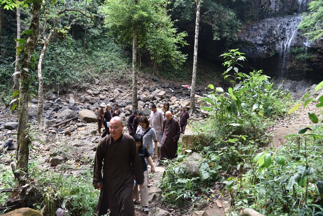 Offering the Buddha statue to Dac Phap Pagoda and releasing creatures.