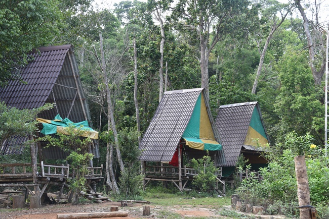 Offering the Buddha statue to Dac Phap Pagoda and releasing creatures.