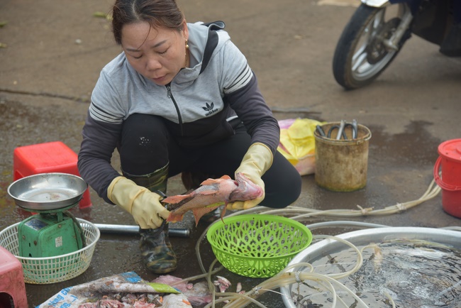 Offering the Buddha statue to Dac Phap Pagoda and releasing creatures.