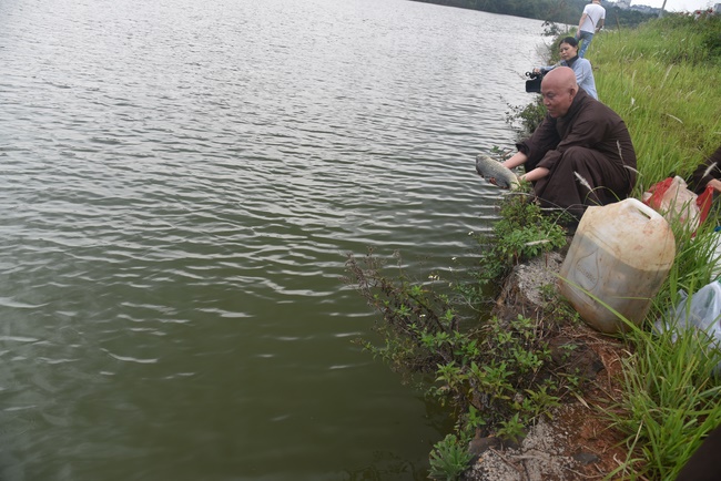 Offering the Buddha statue to Dac Phap Pagoda and releasing creatures.
