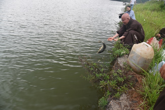 Offering the Buddha statue to Dac Phap Pagoda and releasing creatures.