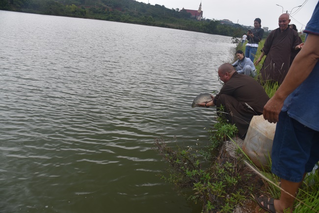 Offering the Buddha statue to Dac Phap Pagoda and releasing creatures.