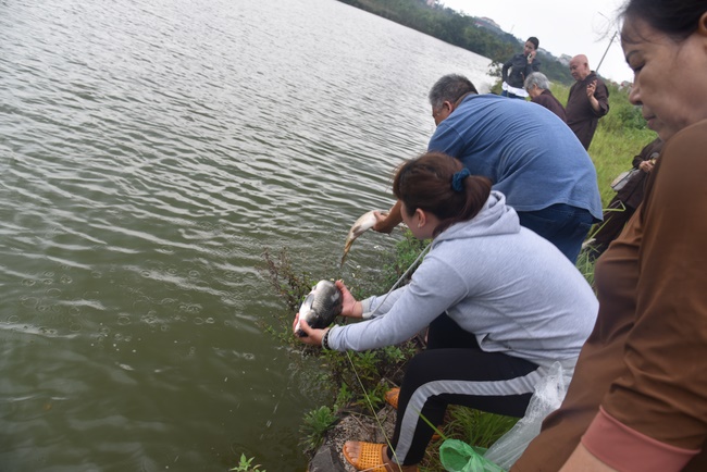 Offering the Buddha statue to Dac Phap Pagoda and releasing creatures.