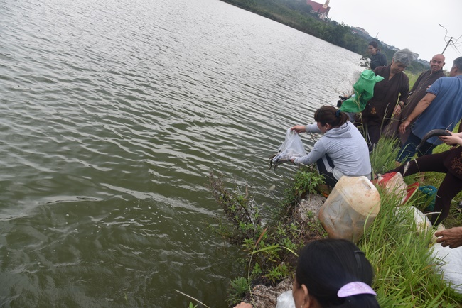 Offering the Buddha statue to Dac Phap Pagoda and releasing creatures.