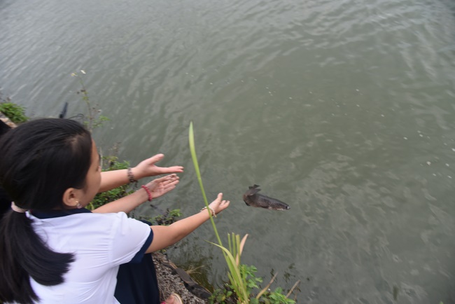 Offering the Buddha statue to Dac Phap Pagoda and releasing creatures.