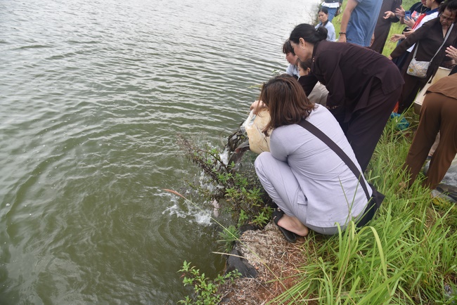 Offering the Buddha statue to Dac Phap Pagoda and releasing creatures.
