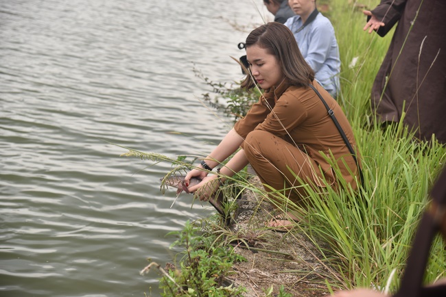 Offering the Buddha statue to Dac Phap Pagoda and releasing creatures.